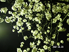 s_PICT0014_thumb.png